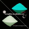 Top Quality Luminescent Glow in Dark Luminous Powder